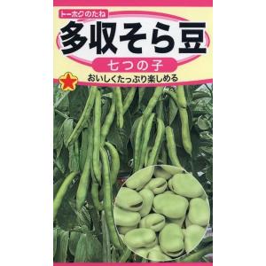 野菜種子 多収そら豆 七つの子 トーホクのタネの商品画像