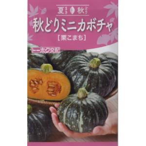 野菜種子 秋どりミニカボチャ 栗こまち トーホクのタネの商品画像