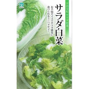 【種子】サラダ白菜 ミニ頼黄50 丸種のタネ｜gardeningivy