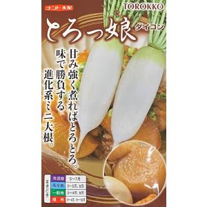 枝豆 丹波黒大粒大豆 1L タキイ種苗（株） : グリーンロフトネモト