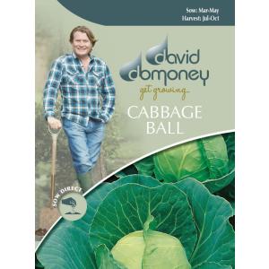 【種子】 Mr.Fothergill's Seeds david domoney CABBAGE BALL Golden Acre/Primo デイヴィッド・ドモニー キャベッジ ボール ゴールデンエーカー/プリモ｜gardeningivy