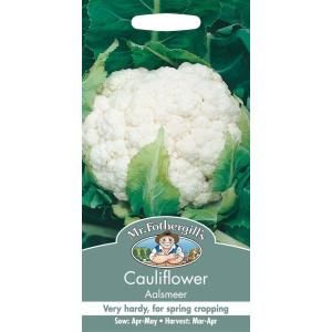 【種子】 Mr.Fothergill's Seeds Cauliflower Aalsmeer カリフラワー アールスメール ミスター・フォザーギルズシード｜gardeningivy