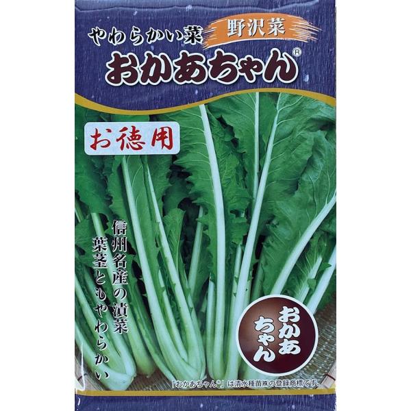 【種子】 野沢菜 やわらかい菜 F1おかあちゃん お徳用 日本タネセンター