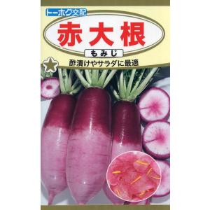野菜種子 赤大根 もみじ トーホクのタネの商品画像