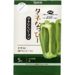 種子 ピーマン タネなっぴー 横浜植木のタネ 農林水産省品種登録 品種名：タネーラ 登録番号：28906 海外持出禁止｜Gardener s Shop Ivy
