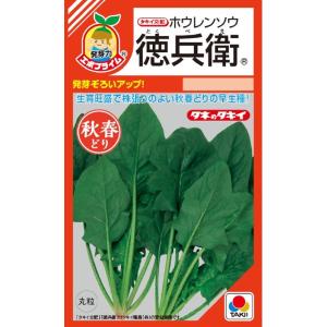 SK9-099 ブロッコリー種子 ペレット5000粒 【野菜種子】【サカタのタネ