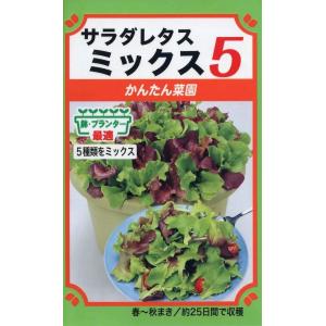 【種子】サラダレタス ミックス５ トーホクのタネ｜gardeningivy