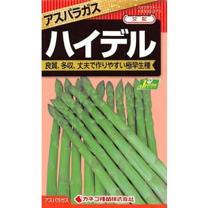 サカタのタネ アスパラガス ウェルカム 小袋 : 種苗・園芸ショップ 種