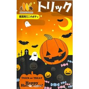 えびす 500粒 カボチャ種子 【南瓜の種】【タキイのタネ】【野菜の種