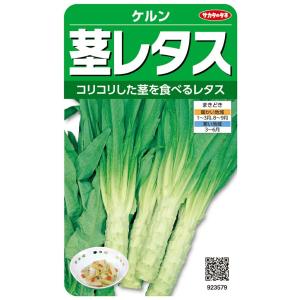 SK9-099 ブロッコリー種子 2000粒 【野菜種子】【サカタのタネ