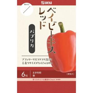 野菜種子 とうがらし 朝鮮なんばん（激辛）福井シードのタネ