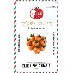 野菜種子 ミニトマト チョコちゃん トキタ種苗のタネ : Gardener s