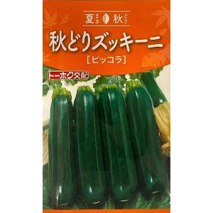 野菜種子 秋どりズッキーニ ピッコラ トーホクのタネの商品画像