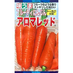 野菜種子 タマネギ ネオアース 20ml【タキイ種苗】【野菜種子】 : 吉谷
