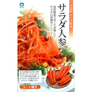 野菜種子 一代交配 サラダ人参 オレンジアロー ...の商品画像
