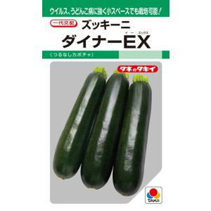 野菜種子 ズッキーニ ダイナーEX タキイ種苗のタネ