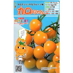 野菜種子 ミニトマト アミちゃん トキタ種苗のタネ : Gardener s Shop