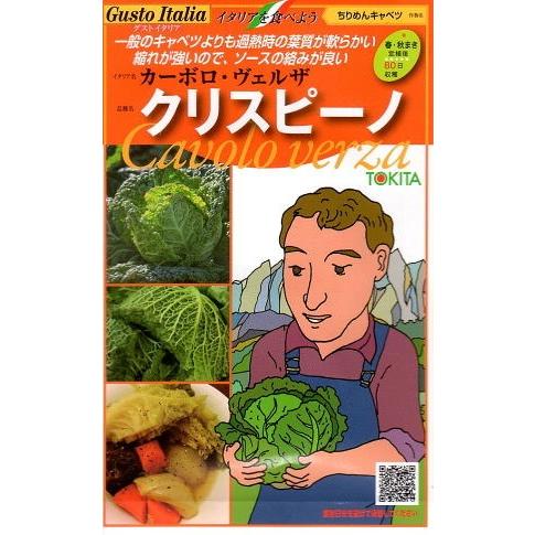 【種子】Gusto Italia ちりめんキャベツ カーボロ・ヴェルザ クリスピーノ トキタ種苗のタ...