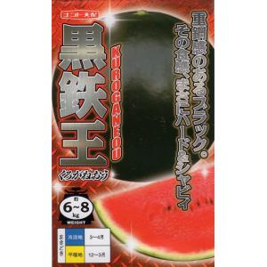 【種子】 西瓜 （スイカ） 黒鉄王 ナント種苗のタネの商品画像