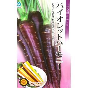 【種子】一代交配 にんじん バイオレットハーモニー 丸種のタネ｜gardeningivy