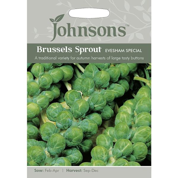 【種子】 Johnsons Seeds Brussels Sprout Evesham Specia...