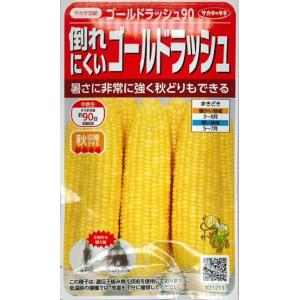 野菜種子 スイートコーン 白いおおもの 2000粒 ナント種苗のタネ
