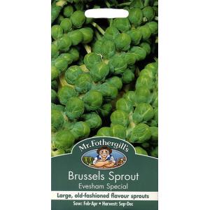 輸入種子 Mr Fothergills Seeds Brussels Sprout Evesham Special ブリュッセルズスプラウト 芽キャベツ イブシャムスペシャル 最安値 価格比較 Yahoo ショッピング 口コミ 評判からも探せる