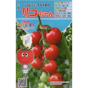野菜種子 ミニトマト アミちゃん トキタ種苗のタネ : Gardener s Shop