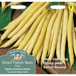 Mr.Fothergill's Seeds VEGETABLE EXPLORER Dwarf Bean Polka ドワーフ ビーン ポルカ ミスター フォザーギルズシード