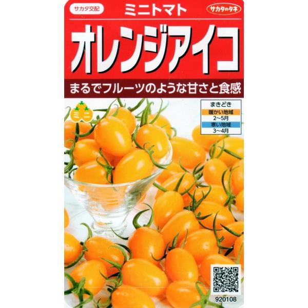 【種子】ミニトマト オレンジアイコ サカタのタネ
