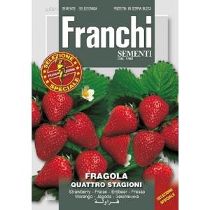 【種子】FRANCHI SEMENTI FRAGOLA QUATTRO STAGIONI 四季なりイチゴ フランチ社