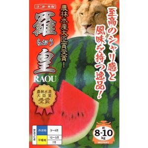 野菜種子 西瓜（スイカ） サマーオレンジM（ミドル） ナント種苗のタネ