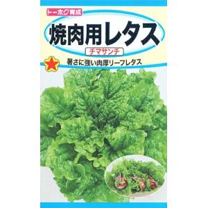 【種子】焼肉用レタス チマサンチ（緑） トーホクのタネ｜gardeningivy