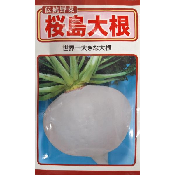 野菜種子 伝統野菜 桜島大根 世界一大きな大根 トーホクのタネ