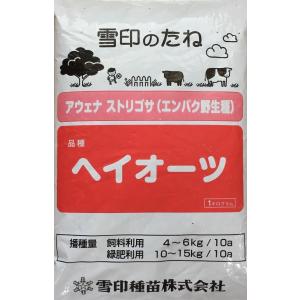 【種子】アウェナ ストリゴサ(エンバク野生種) 緑肥用エンバク（えん麦） ヘイオーツ 1kg 雪印種苗のタネ