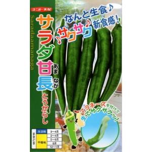 野菜の種/種子 ソニック ・タマネギ 玉葱 玉ねぎ 2dl袋入り（大袋