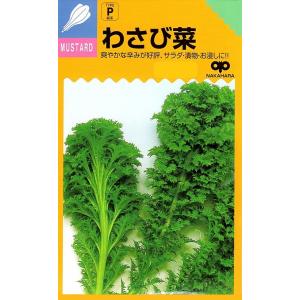 【種子】わさび菜 中原採種場のタネ｜gardeningivy