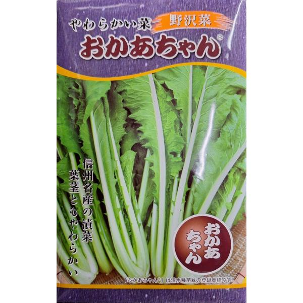 【種子】野沢菜 やわらかい菜 F1おかあちゃん 日本タネセンター