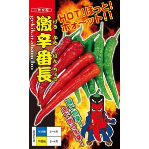 野菜種子 とうがらし 朝鮮なんばん（激辛）福井シードのタネ