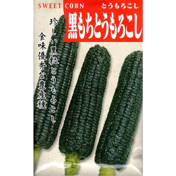 【種子】とうもろこし 黒もち とうもろこし 日本タネセンターのタネ