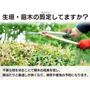 草刈機 充電式 コードレス 電動 小型 軽量 ...の詳細画像1