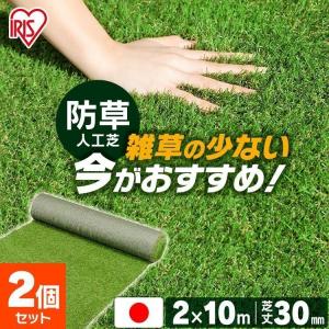IRIS OHYAMA（アイリスオーヤマ） 人工芝 2m ロール 庭 安い 10m 防草