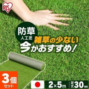 リアリーターフ 専用ピン(黒色) 50本入り/袋 : E-garden ヤフー