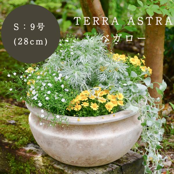 植木鉢 プランター KONTON テラアストラ ベガロー S 直径28cm シンプル アンティーク ...