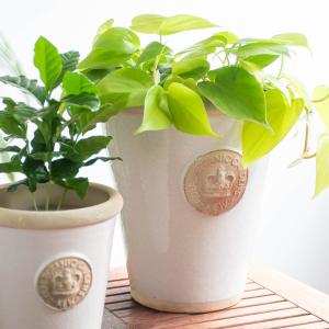 ローラアシュレイ オフィシャル植木鉢 ローラロンサール (S