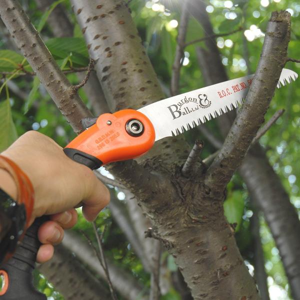園芸 ガーデニング用 折りたたみ式剪定のこぎり FOLDING PRUNING SAW RHS認定品...