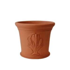 ウィッチフォード 植木鉢 クロッカスポット 直径...の商品画像
