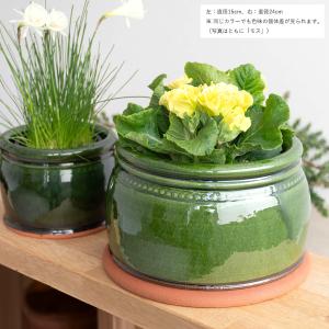ウィッチフォード 植木鉢 シーケールフォーサー 直径32cmサイズ