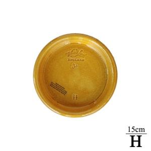 プレゼント応募対象】 ウィッチフォード 釉薬つき植木鉢専用水受け