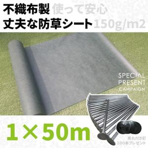 プランテックス プランテックス防草シート（ザバーン） 1mx10m 125BB